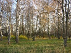 GuahooИзвестная финская погода в киржаче на 3 сайте нашего магазина